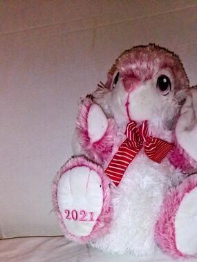 Plush Pink and White Bunny Stuffed Animal - 2021 Commemorative